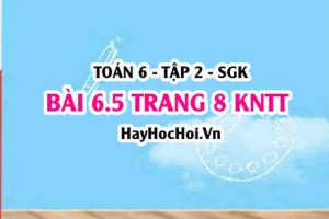 Bài 6.5 trang 8 Toán 6 Tập 2 Kết nối tri thức